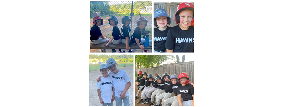 T-ball & Rookie